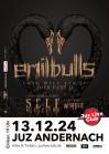  EMIL BULLS plus Special Guests • 13.12.2024, 20:00 • Andernach